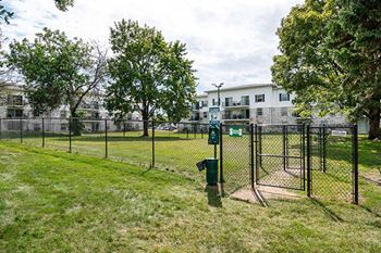 Dog park